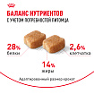 Royal Canin Dachshund Adult Корм сухой для взрослых собак породы Такса от 10 месяцев, 7,5 кг
